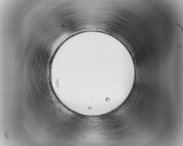 X0000103481096200810100953