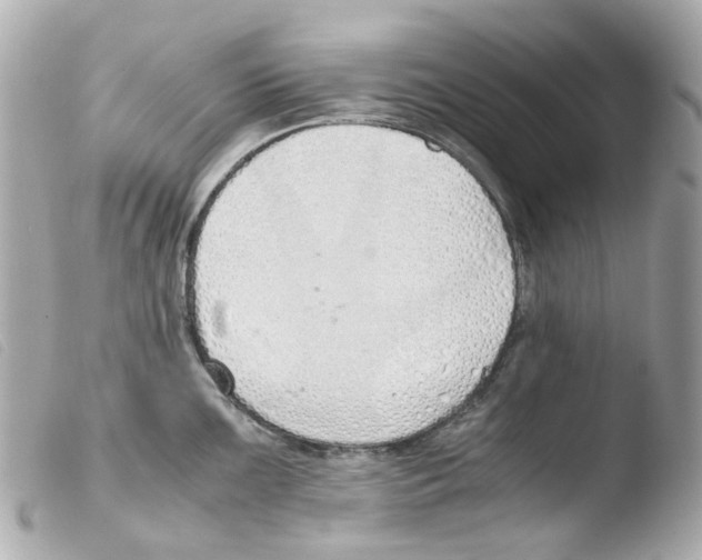X0000103481099200810100953