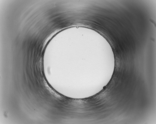 X0000103481100200810100953