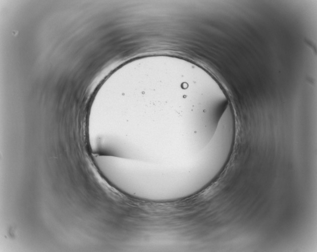X0000103481101200810100953