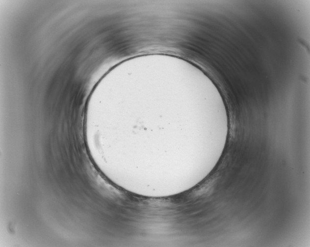 X0000103481102200810100953