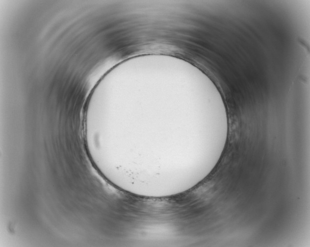 X0000103481103200810100953
