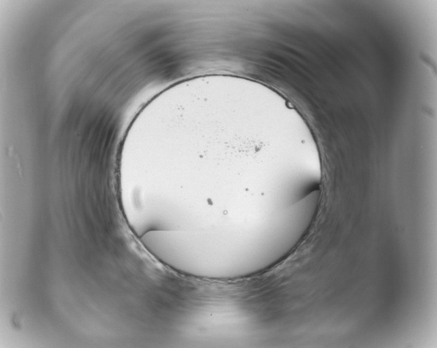 X0000103481104200810100953