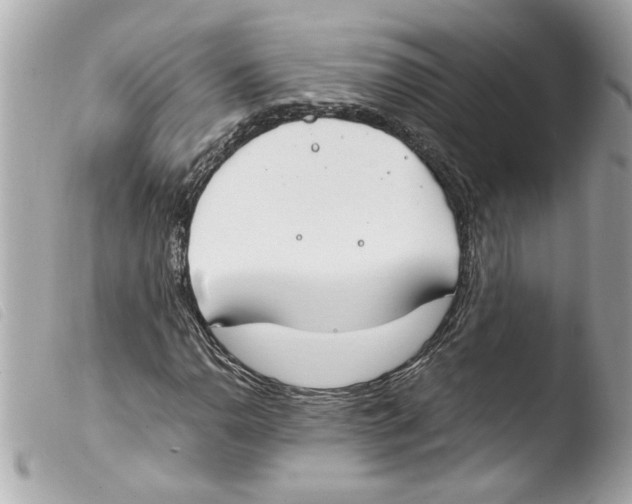 X0000103481110200810100953