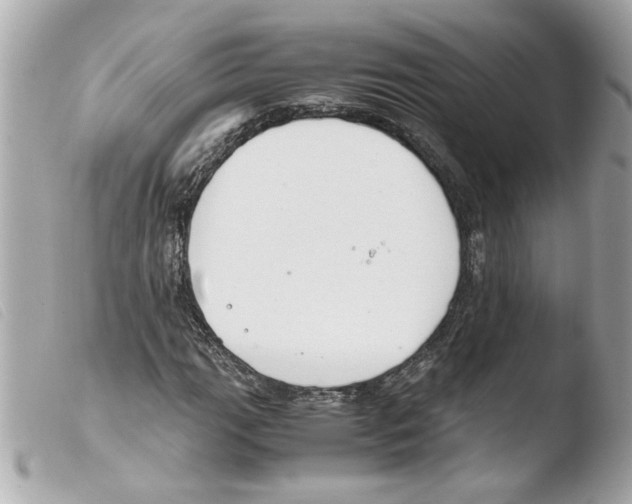 X0000103481111200810100953