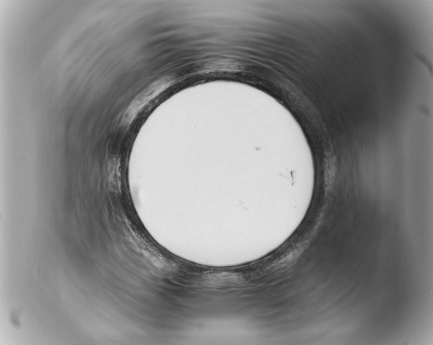 X0000103481113200810100953