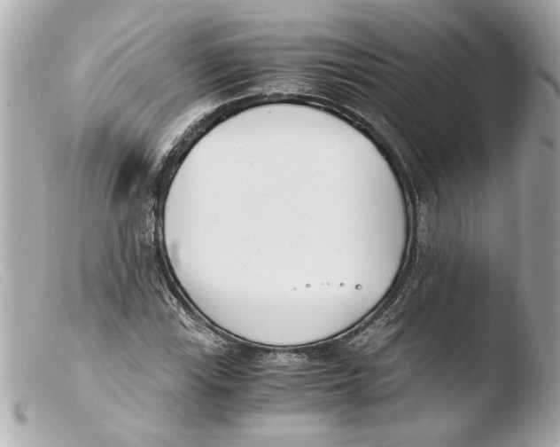 X0000103481115200810100953
