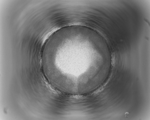 X0000103481117200810100953