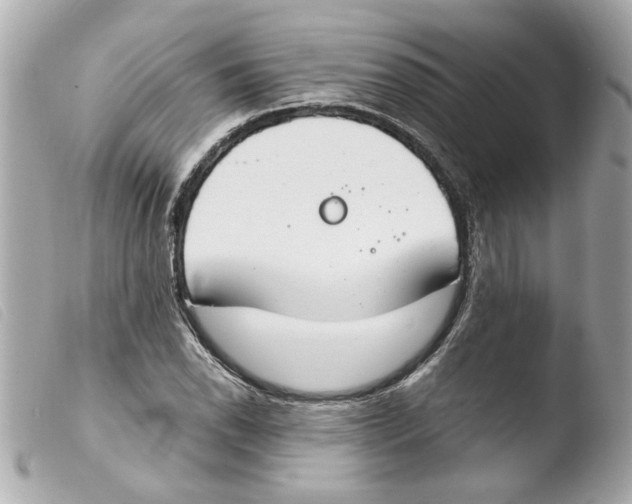 X0000103481118200810100953