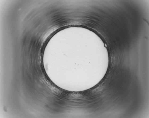 X0000103481119200810100953