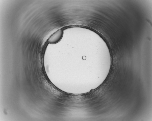 X0000103481120200810100953