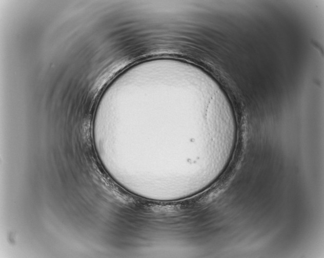 X0000103481121200810100953