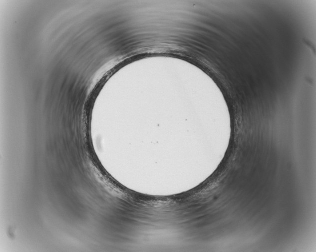 X0000103481122200810100953