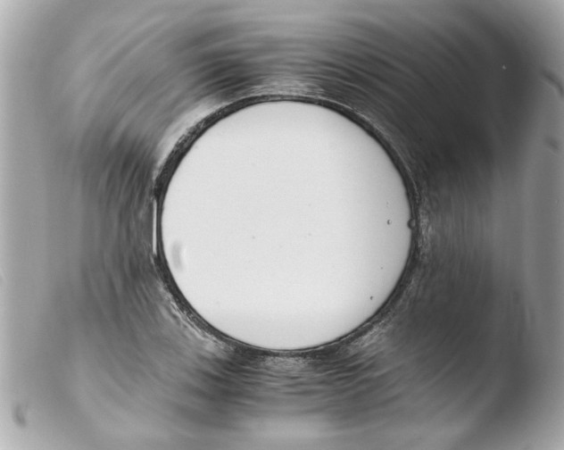 X0000103481123200810100953