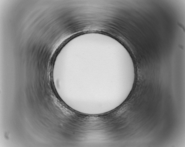 X0000103481124200810100953