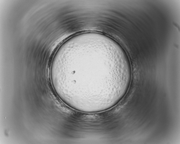 X0000103481125200810100953