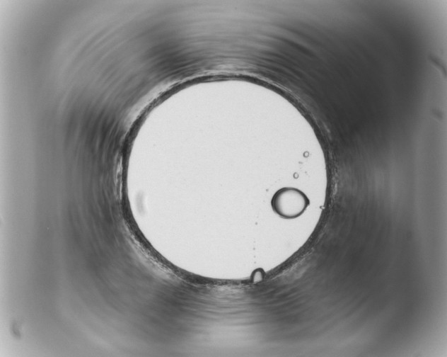 X0000103481126200810100953