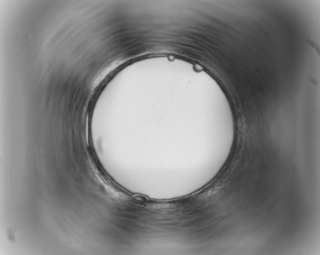 X0000103481127200810100953