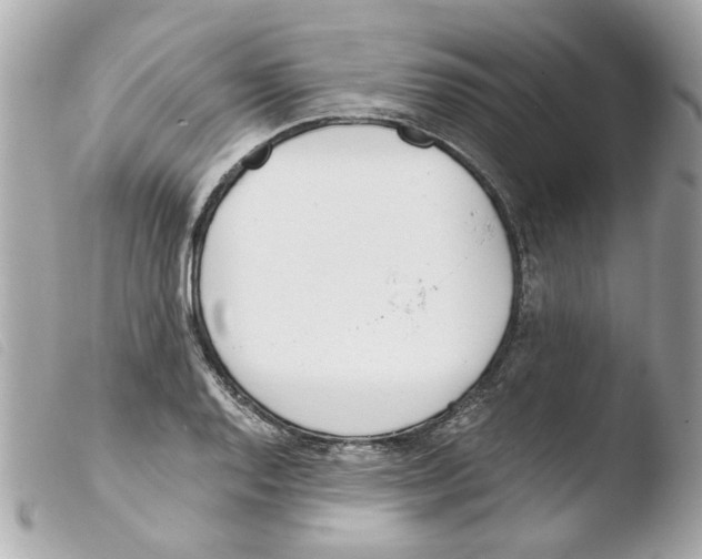 X0000103481128200810100953