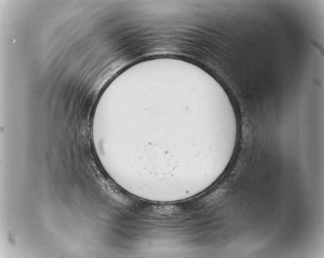 X0000103481129200810100953