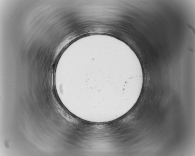X0000103481130200810100953