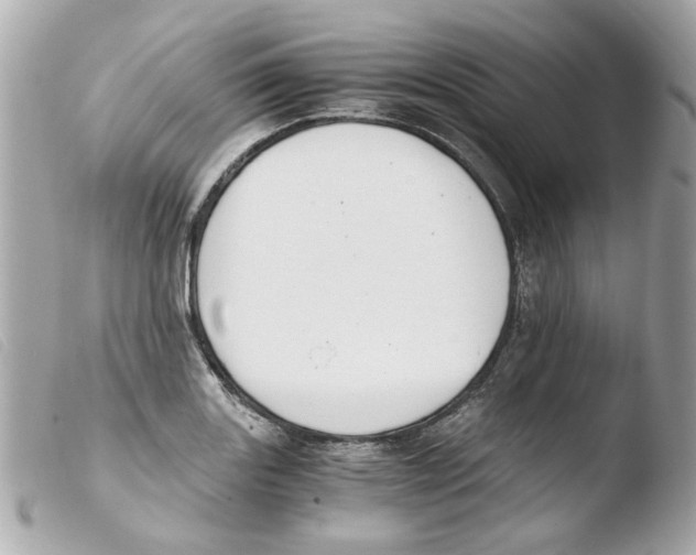 X0000103481131200810100953