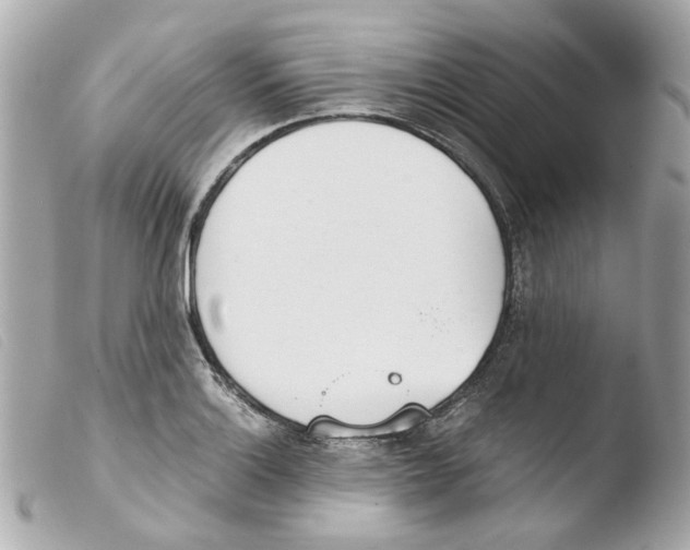 X0000103481132200810100953