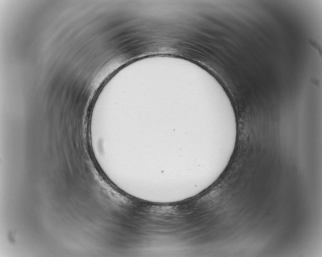 X0000103481135200810100953