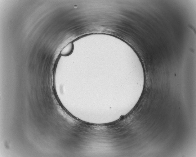 X0000103481136200810100953