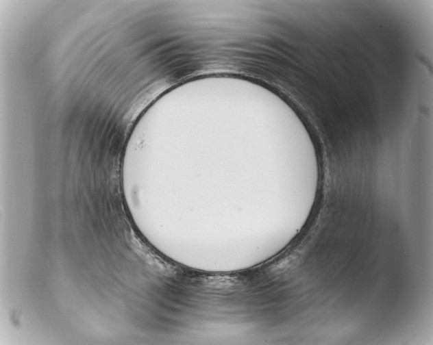 X0000103481137200810100953
