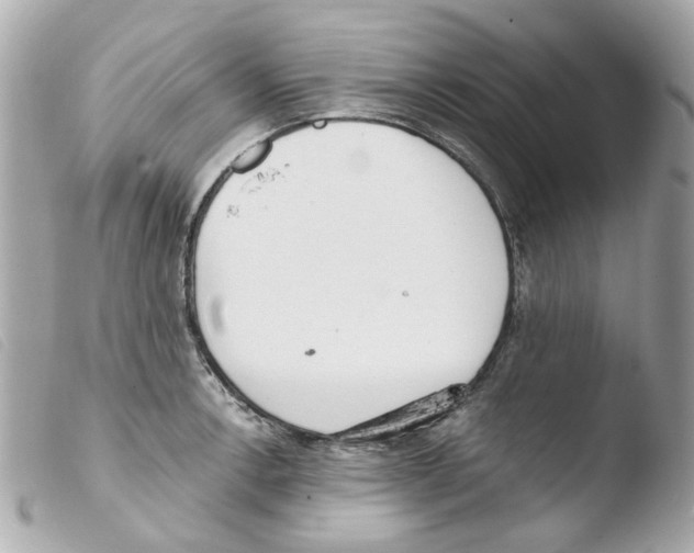X0000103481138200810100953