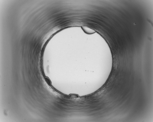X0000103481139200810100953