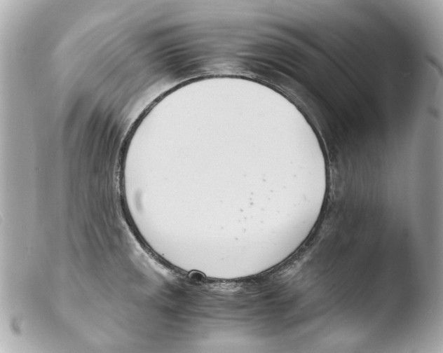 X0000103481141200810100953