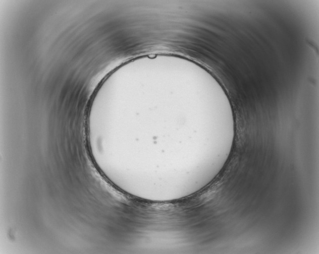 X0000103481142200810100953