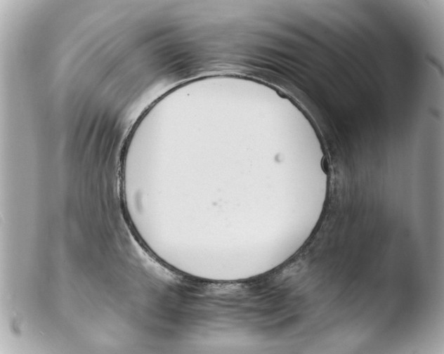 X0000103481143200810100953