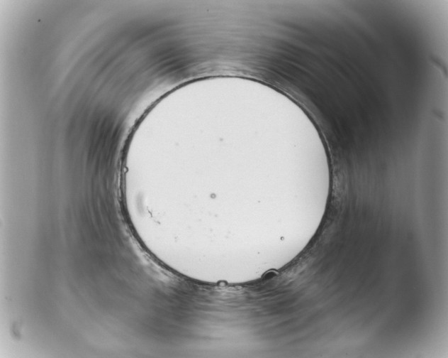 X0000103481144200810100953