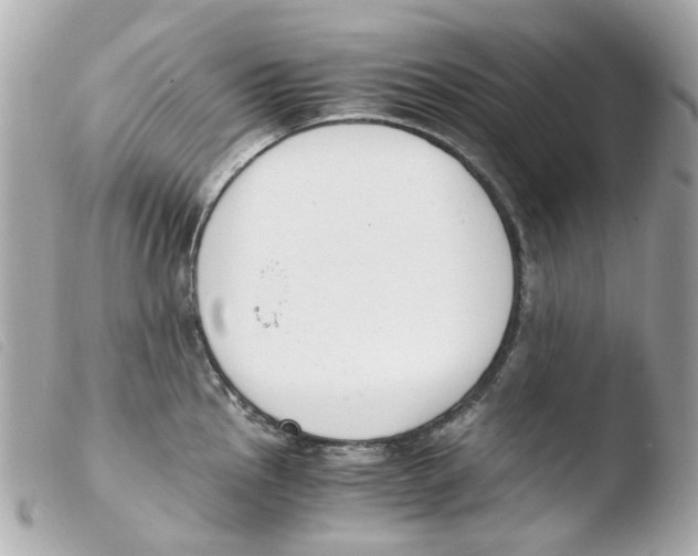 X0000103481145200810100953