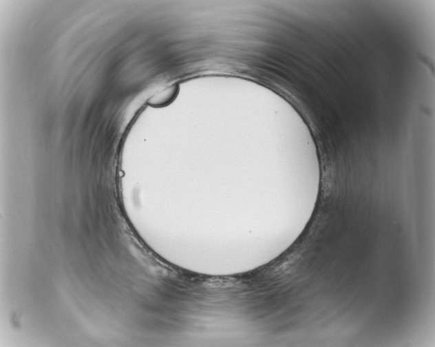X0000103481146200810100953
