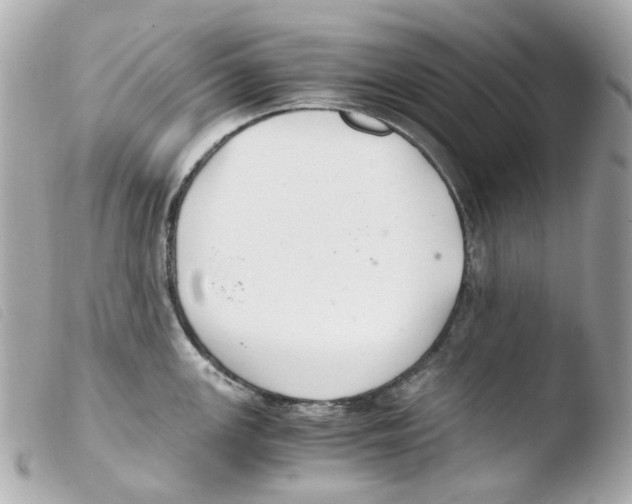 X0000103481147200810100953