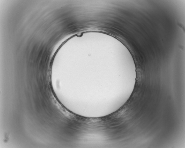 X0000103481148200810100953