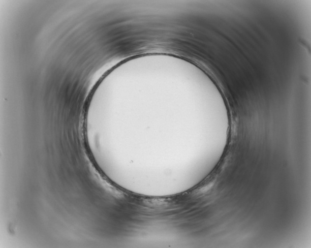 X0000103481149200810100953