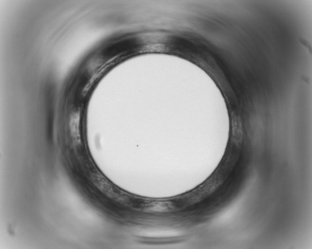 X0000103481150200810100953