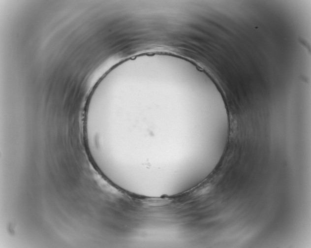 X0000103481151200810100953