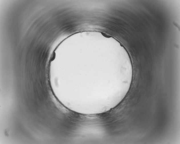 X0000103481152200810100953