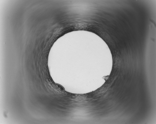 X0000103481153200810100952