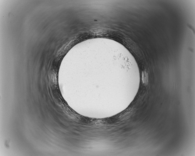 X0000103481155200810100952