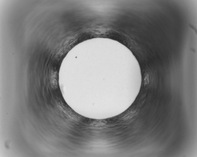 X0000103481156200810100952