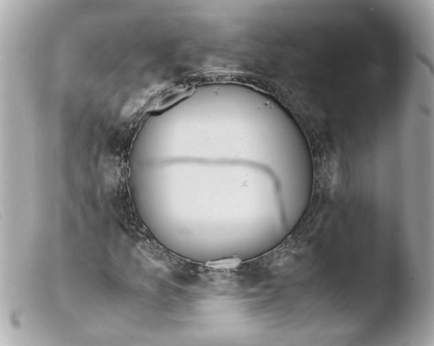 X0000103481157200810100952