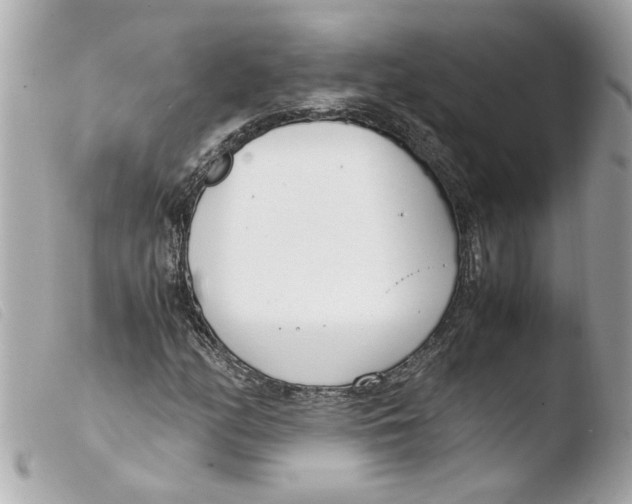 X0000103481158200810100952