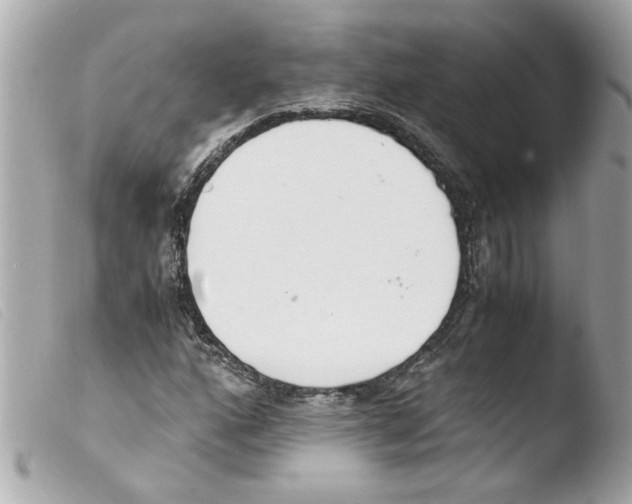 X0000103481160200810100952